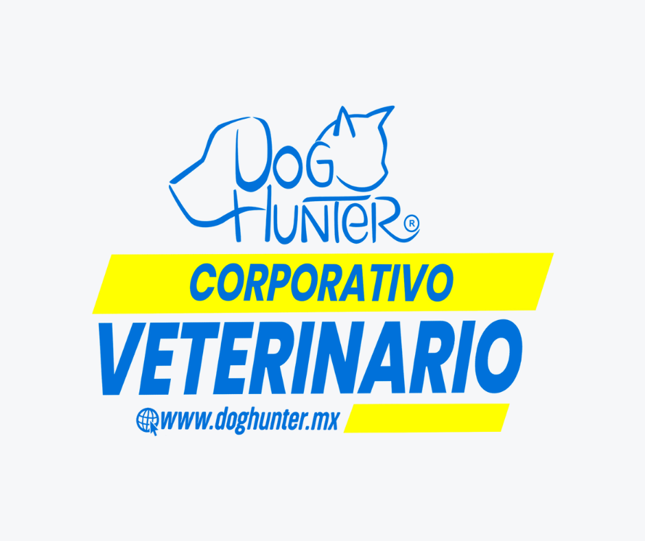 Corporativo